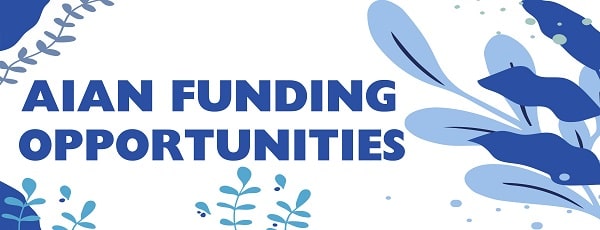 Sid AIAN Funding Opportunities-min.jpg