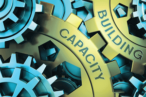 capacity building