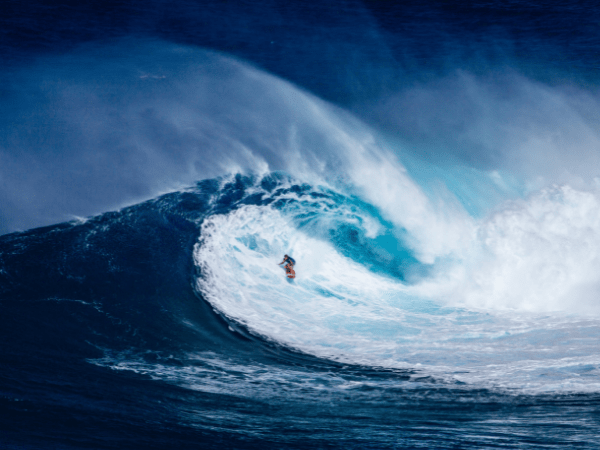 Riding the Grantseeking Wave